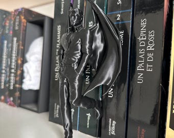 Décoration Bibliothèque ACOTAR