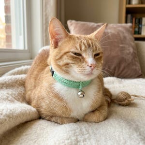 May include: An orange tabby cat wearing a light green crocheted collar with a silver bell. The cat is lying on a cream-colored blanket, with a small ball of twine nearby. The cat has white markings on its face and chest.
