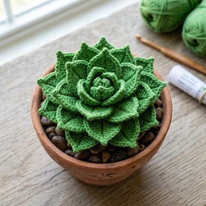 May include: A handmade green crochet succulent plant in a terracotta pot filled with small stones. The crochet plant has detailed leaf patterns and is centered in the pot. The pot sits on a wooden surface, with green yarn and a crochet hook in the background.