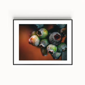 May include: Close-up of a framed print featuring a cluster of blueberries. The berries range in color from green to deep blue, with some showing hints of orange. The image has a shallow depth of field, with the background blurred.