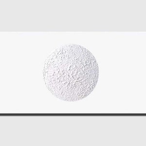 May include: A white textured circle on a white background. The circle has a rough, uneven surface.