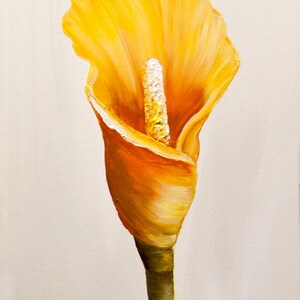 May include: A single yellow calla lily flower with a white center, painted on a white background.