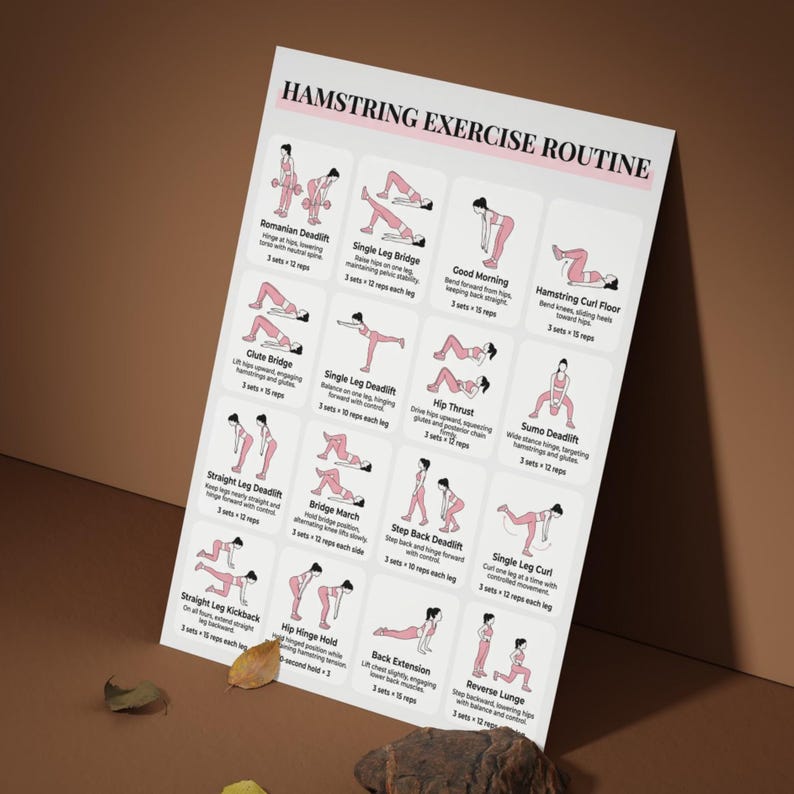 Hamstring Exercises Printable, Hamstring Workout Chart PDF, Lower Body & Leg Day Workout, Hamstring Stretch Routine, Glutes Exercise Poster image 3