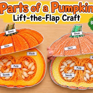 Puede incluir: Una manualidad de Parts of a Pumpkin con dos calabazas de papel, una a color y otra en blanco y negro. Las etiquetas identifican el tallo, la piel, la carne, la pulpa y las semillas. El texto dice Parts of a Pumpkin Lift-the-Flap Craft y Color + Black & White Versions.