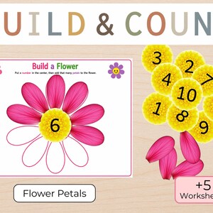 Flower Petal Counting Activity & Worksheets | Build a Flower Math (Preschool Printable)