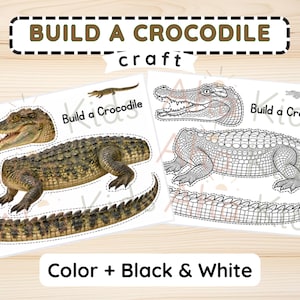 Könnte beinhalten: Ein druckbares Bastelset mit dem Titel Build a Crocodile, bestehend aus zwei Blättern. Ein Blatt zeigt ein realistisches, farbiges Krokodil in drei Teilen, während das andere dasselbe Krokodil als schwarz-weiße Strichzeichnung zum Ausmalen zeigt.
