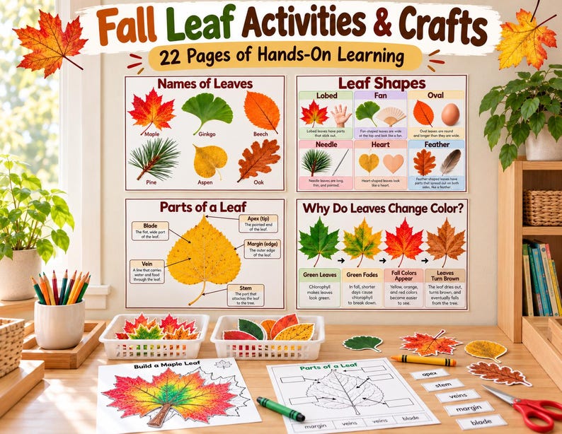 Fall Leaf Activities & Crafts Printable | Montessori Leaf Sorting ...