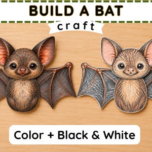 May include: A Build a Bat craft kit featuring two illustrated bat cutouts. One bat is rendered in dark brown tones, while the other features lighter brown and grey shading. The text BUILD A BAT craft and Color + Black & White is included.