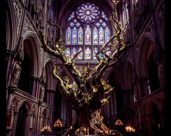 May include: A large, gnarled tree with golden branches stands in the center of a stone cathedral. The tree is surrounded by numerous lit candles placed among its exposed roots. Stained glass windows are visible in the background.