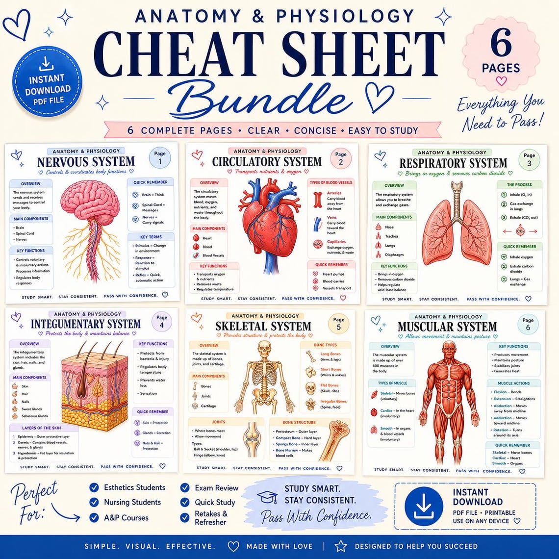 Anatomy Physiology Cheat Sheet Bundle, Nursing Esthetician Biology Exam ...
