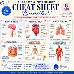Könnte beinhalten: Anatomie- und Physiologie-Spickzettel-Bundle mit sechs Seiten. Jede Seite behandelt ein anderes Körpersystem, einschließlich Nerven-, Kreislauf-, Atmungs-, Haut-, Skelett- und Muskelsystem. Das Bundle ist für Studenten konzipiert.