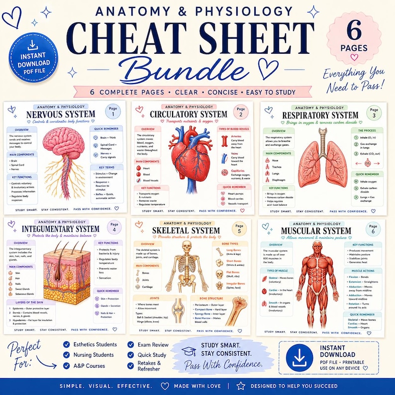 Anatomy Physiology Cheat Sheet Bundle, Nursing Esthetician Biology Exam Prep (PDF Download) - Etsy