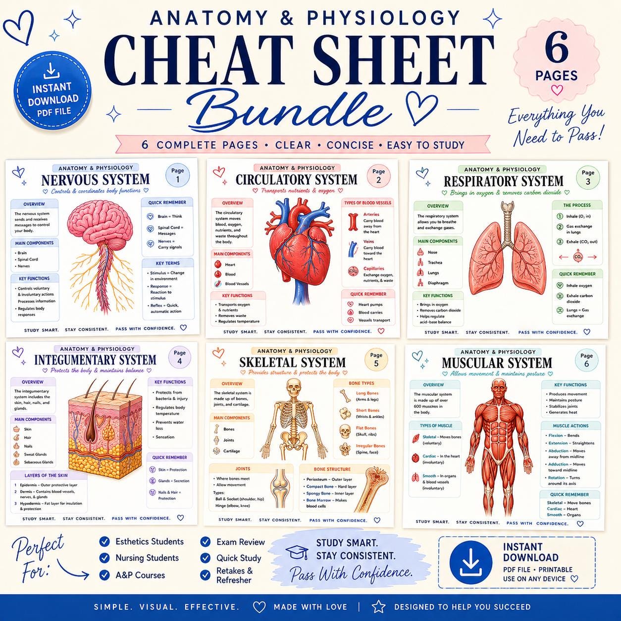 Anatomy Physiology Cheat Sheet Bundle, Nursing Esthetician Biology Exam Prep (PDF Download) - Etsy
