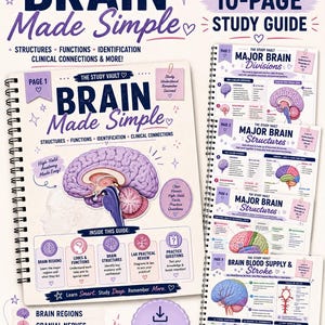 Brain Anatomy Study Guide | 10-Page Neuroanatomy Notes | Brain Structures, Cranial Nerves, Stroke & Disorders | Digital PDF