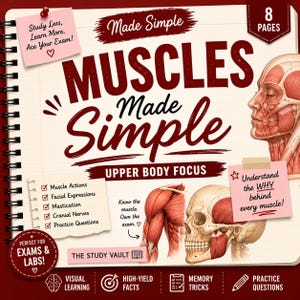 Head and Face Muscles Made Simple | Anatomy Study Guide | Cranial Nerves, Facial Expression, Mastication & Lab Practical Instant PDF