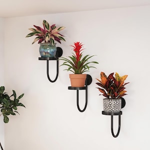 Wall Plant Holder Shelf | Metal Wall Planter Stand | Hanging Plant Shelf | Modern Plant Display | Indoor Plant Holder | Gift For Her