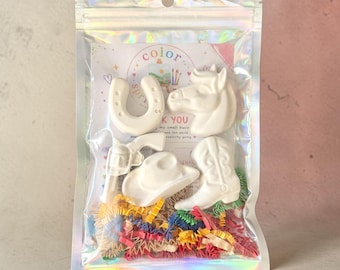 Cowboy Cowgirl Plaster Painting Kit, Cowboy Party Favors, Horse. Western Party Favor, Rodeo Western Cowboy Cowgirl