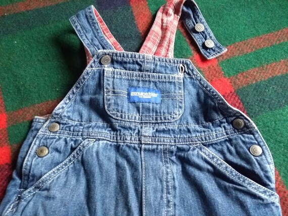 flannel lined overalls denim