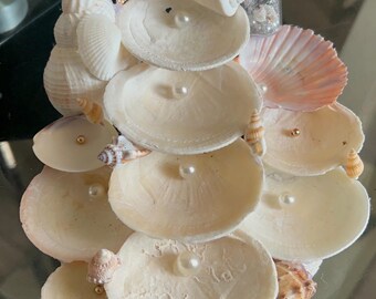 Muschel Schmuck Display
