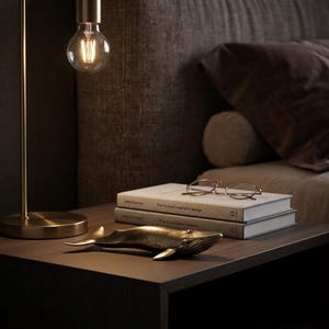 May include: A bronze whale figurine rests on a dark wooden nightstand next to two books and a pair of glasses. A gold-toned lamp with a lit bulb hangs above the nightstand, creating a warm ambiance.