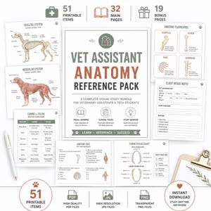 Puede incluir: Un paquete de referencia de anatomía para asistentes veterinarios con 51 elementos imprimibles, que incluye diagramas de sistemas esqueléticos y musculares, tarjetas de anatomía, notas de admisión y un gráfico dental canino.