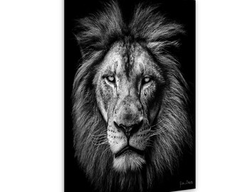 The Ghost Lion Portrait: Haunting Wildlife