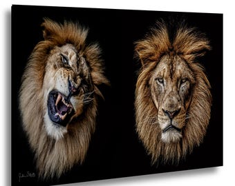 The King's Duality | Fine Art Lion Portrait Diptych