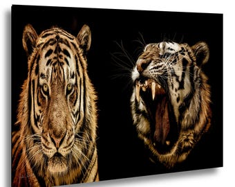 Tiger Roar Diptych | Wildlife Photography Canvas Print | Safari Big Cat Art