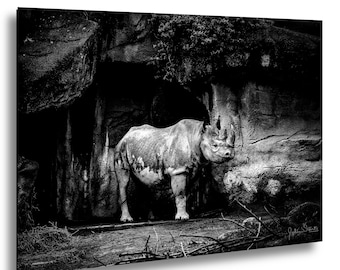 Midnight Watch: Rhino at the Edge of Light