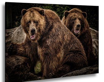 The Bear Brothers - A Portrait of Patience and Power