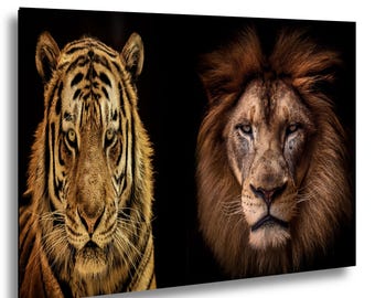 The Kings of Beasts - Across the Darkness: A Portrait of Raw Elegance and Quiet Power