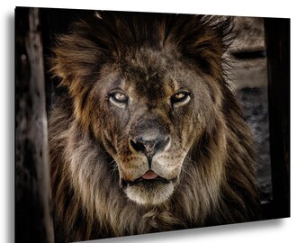 Henson: The Watchful King