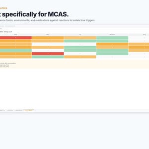 MCAS Tracker daily log tab with colour-coded severity