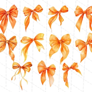 K&ouml;nnte beinhalten: Eine Sammlung von elf orangefarbenen Aquarellschleifen in verschiedenen Stilen auf wei&szlig;em Hintergrund. Die Schleifen, in verschiedenen Gr&ouml;&szlig;en, weisen flie&szlig;ende B&auml;nder und aufwendige Designs auf. Einige haben lange, herabh&auml;ngende B&auml;nder, andere sind kompakter.
