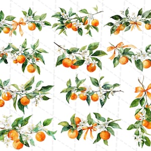 K&ouml;nnte beinhalten: Aquarell-Illustrationen von Orangenbaumzweigen mit reifen Orangen, gr&uuml;nen Bl&auml;ttern, wei&szlig;en Bl&uuml;ten und orangefarbenen B&auml;ndern. Die Bilder sind in verschiedenen horizontalen und vertikalen Kompositionen angeordnet, ideal f&uuml;r digitale Kunst oder Bastelprojekte.