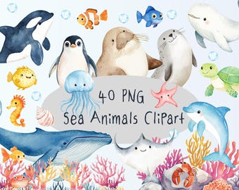 Aquarell Ozean Tiere Clipart-Ozean Clipart-Kids Wand-Kunst Clipart-Unter dem Meer Thema Clipart-Sofortdownload