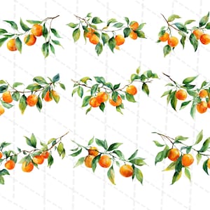 K&ouml;nnte beinhalten: Aquarellillustration von mehreren Zweigen mit gr&uuml;nen Bl&auml;ttern und leuchtend orangefarbenen Fr&uuml;chten. Die Zweige sind in einem Muster vor einem wei&szlig;en Hintergrund angeordnet. Das Kunstwerk hat ein nat&uuml;rliches, botanisches Thema.