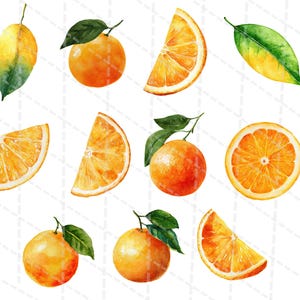 K&ouml;nnte beinhalten: Aquarellillustration von Orangen und Orangenscheiben mit gr&uuml;nen Bl&auml;ttern. Das Bild zeigt ganze Orangen, Orangenh&auml;lften und Orangenst&uuml;cke. Die Orangen haben eine leuchtende orange Farbe, und die Bl&auml;tter sind gr&uuml;n und gelb.