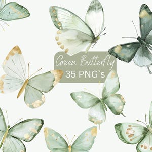 Aquarell Schmetterling Clipart: Salbei Grün und Gold PNG (Digital Download)