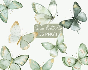 Aquarell Schmetterling Clipart: Salbei Grün und Gold PNG (Digital Download)