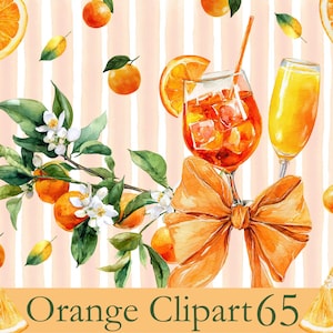 May include: Watercolor illustration featuring oranges, orange slices, and a sprig of orange blossoms. Two cocktails and a large orange bow are also included. The text "Orange Clipart 65" is at the bottom.