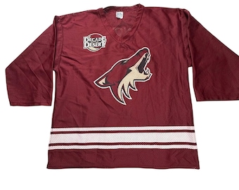 Vintage Phoenix Coyotes Jovanovski 55 Jersey Park Antony XXL Decade InThe Desert