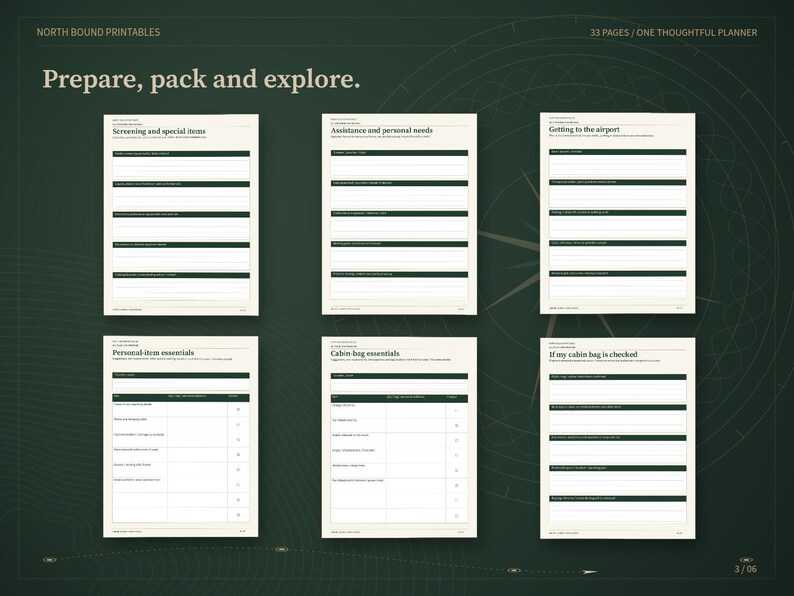 Airport Travel Planner Printable, Flight Itinerary, Carry On Packing Checklist, Layover and Connection Organizer, 33 Pages, A4 A5 Letter image 3