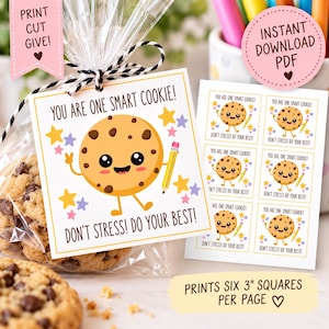 Op de afbeelding: Een vierkant cadeaulabel met een cartoon chocoladekoekje dat een geel potlood vasthoudt, omringd door kleurrijke sterren. De tekst luidt: YOU ARE ONE SMART COOKIE! DON'T STRESS! DO YOUR BEST! Het label is bevestigd aan een zakje met koekjes.