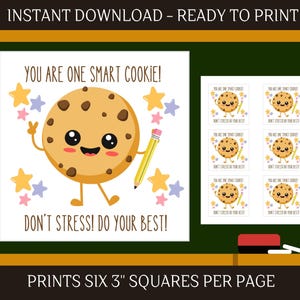 May include: A digital print featuring a smiling cartoon cookie holding a pencil, surrounded by stars. Text reads "YOU ARE ONE SMART COOKIE! DON'T STRESS! DO YOUR BEST!" Prints six 3-inch squares per page.