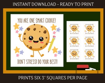 One Smart Cookie Test Tag, Testing Day printable, Good Luck Tag, Test Taking Motivation Teacher Gift, Smart Cookie Tag Classroom Treat Tag