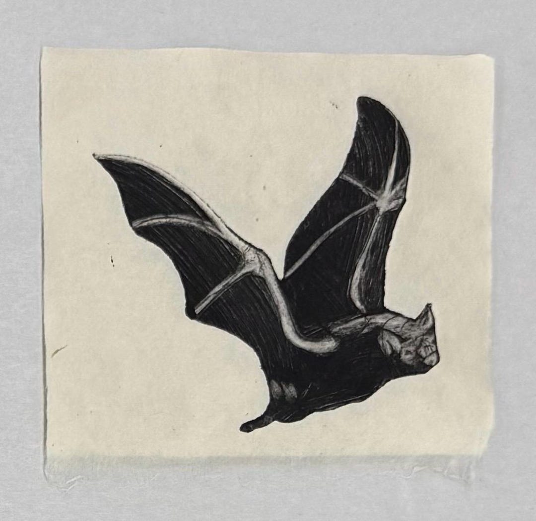 Vampire Bat 2 Collagraph Printmaking Original Print - Etsy