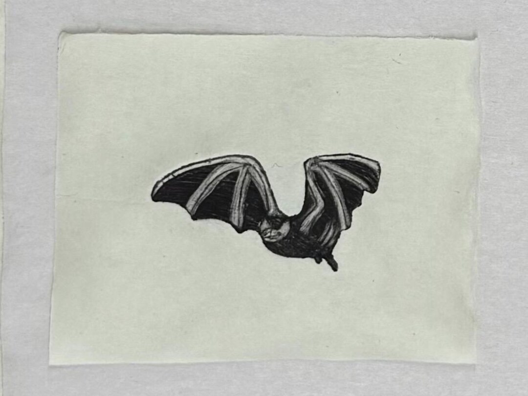 Vampire Bat Collagraph Printmaking Original Print - Etsy