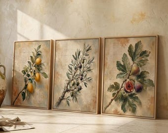 Medelhavsbotanisk väggkonst set om 3, citron- och olivfikontryck, lyxig köksinredning, målerisk fruktkvistkonst, digital nedladdning