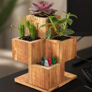 May include: A multi-tiered wooden desk organizer with built-in planters. The top level holds a succulent and other small plants. The organizer also has a section for pens and pencils. The wood has a natural, warm tone.
